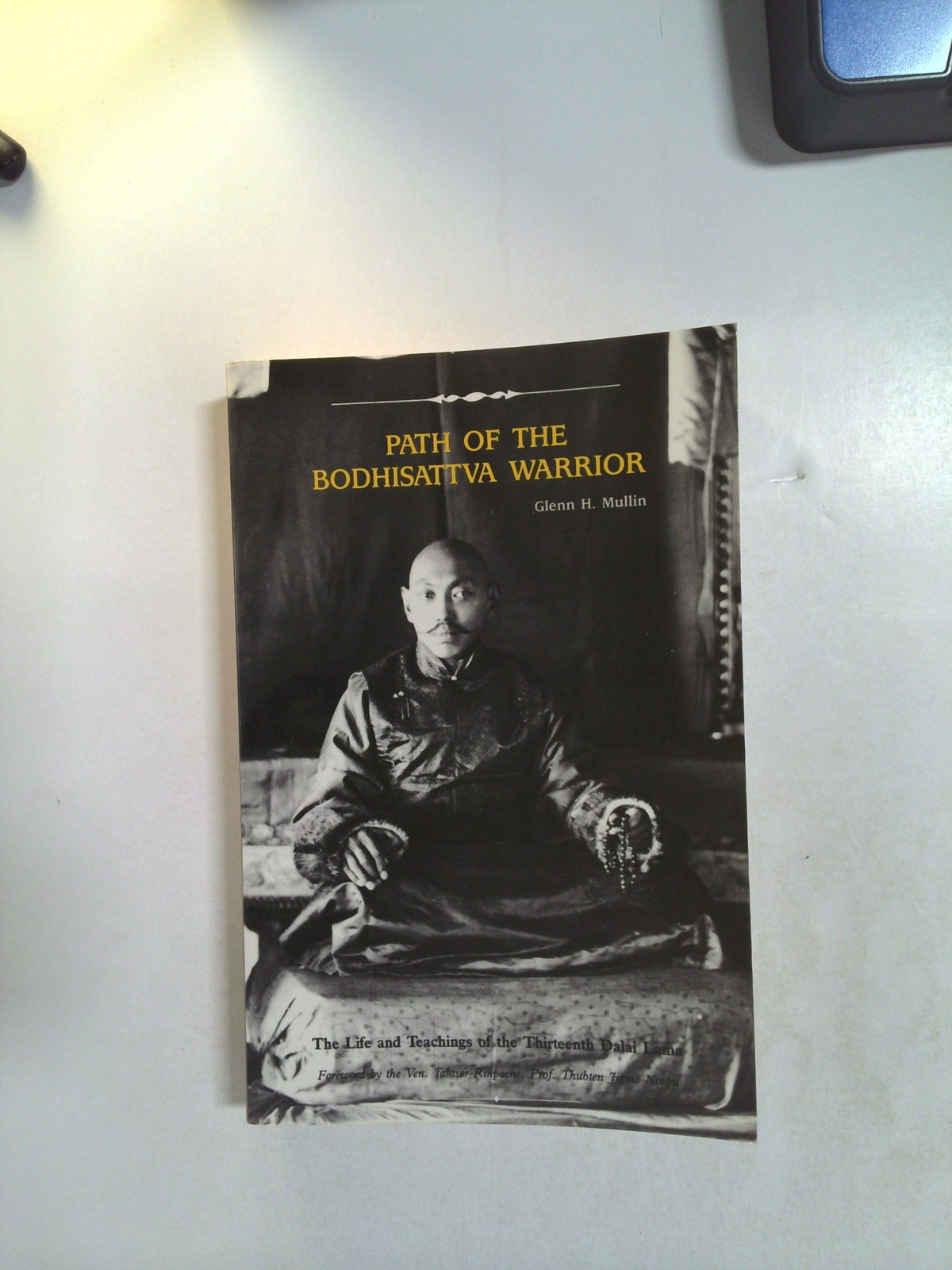 Path of the Bodhisattva warrior by 13th Dalai Lama by Glenn H. Mullin