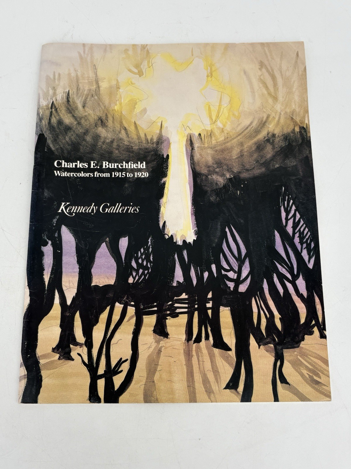 Charles E. Burchfield Watercolors from 1915-1920 1983 Kennedy Galleries