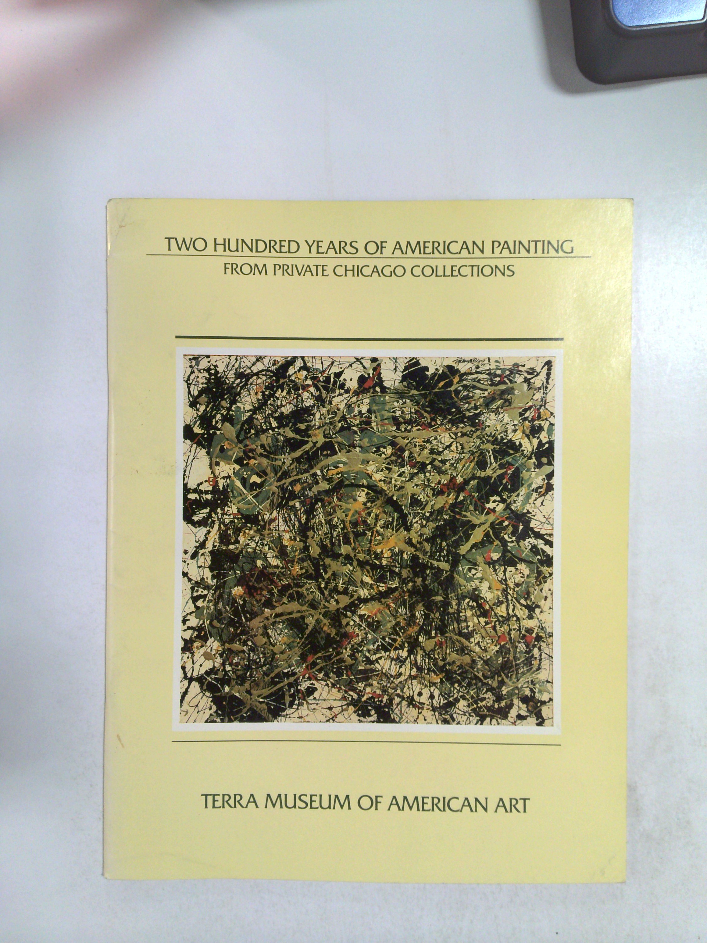 Two Hundred Years of American Painting: From Private Chicago Collections by Terra Museum of American Art