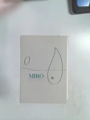 Miró Sculptures by Anthony Brown