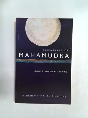 Essentials of Mahamudra: Looking Directly at the Mind by Rinpoche Thrangu