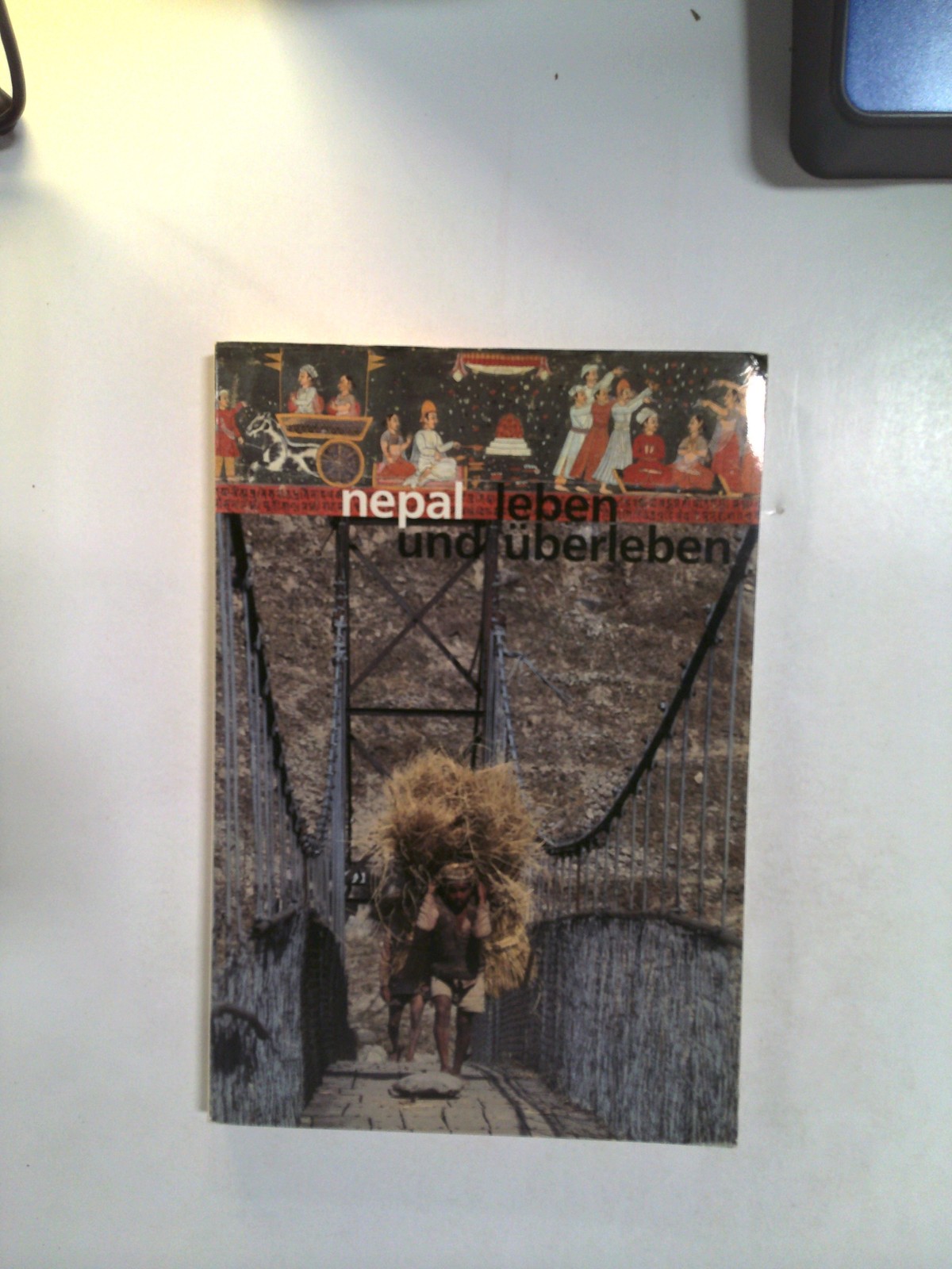 Nepal Leben und überleben by Martin Brauen