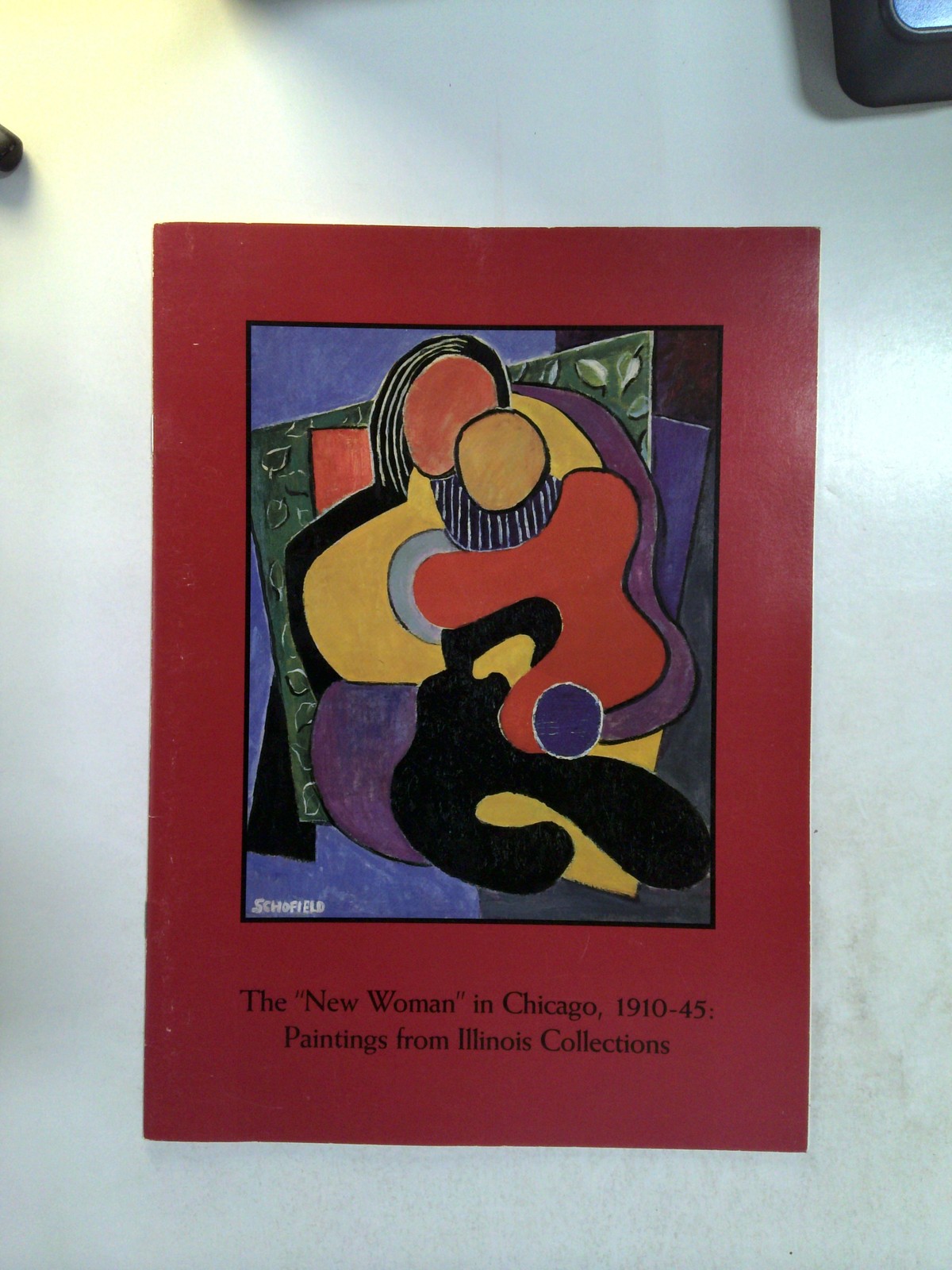 The New Woman in Chicago, 1910-1945: Paintings From Illinois Collections by Susan Weininger