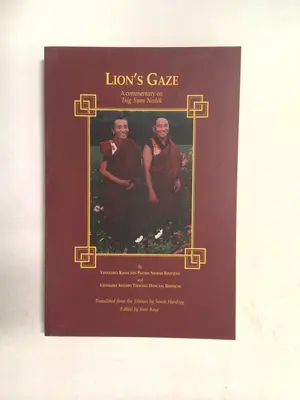 Lion's Gaze: A Commentary on Tsig Sum Nedek 1998 by Venerable Khenchen Palden Sherab Rinpoche and Venerable Khenpo Ts
