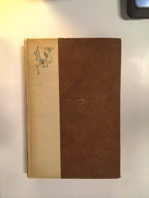 Afghanistan, Vol. XVIII by Angus Hamilton