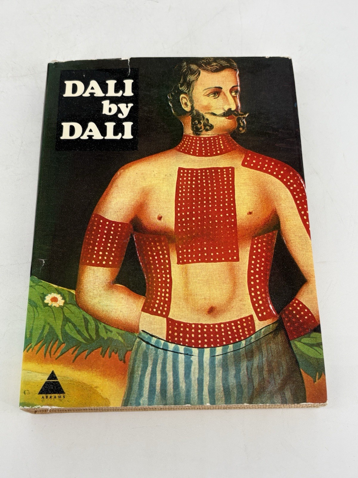 Dali by Salvador Dalí