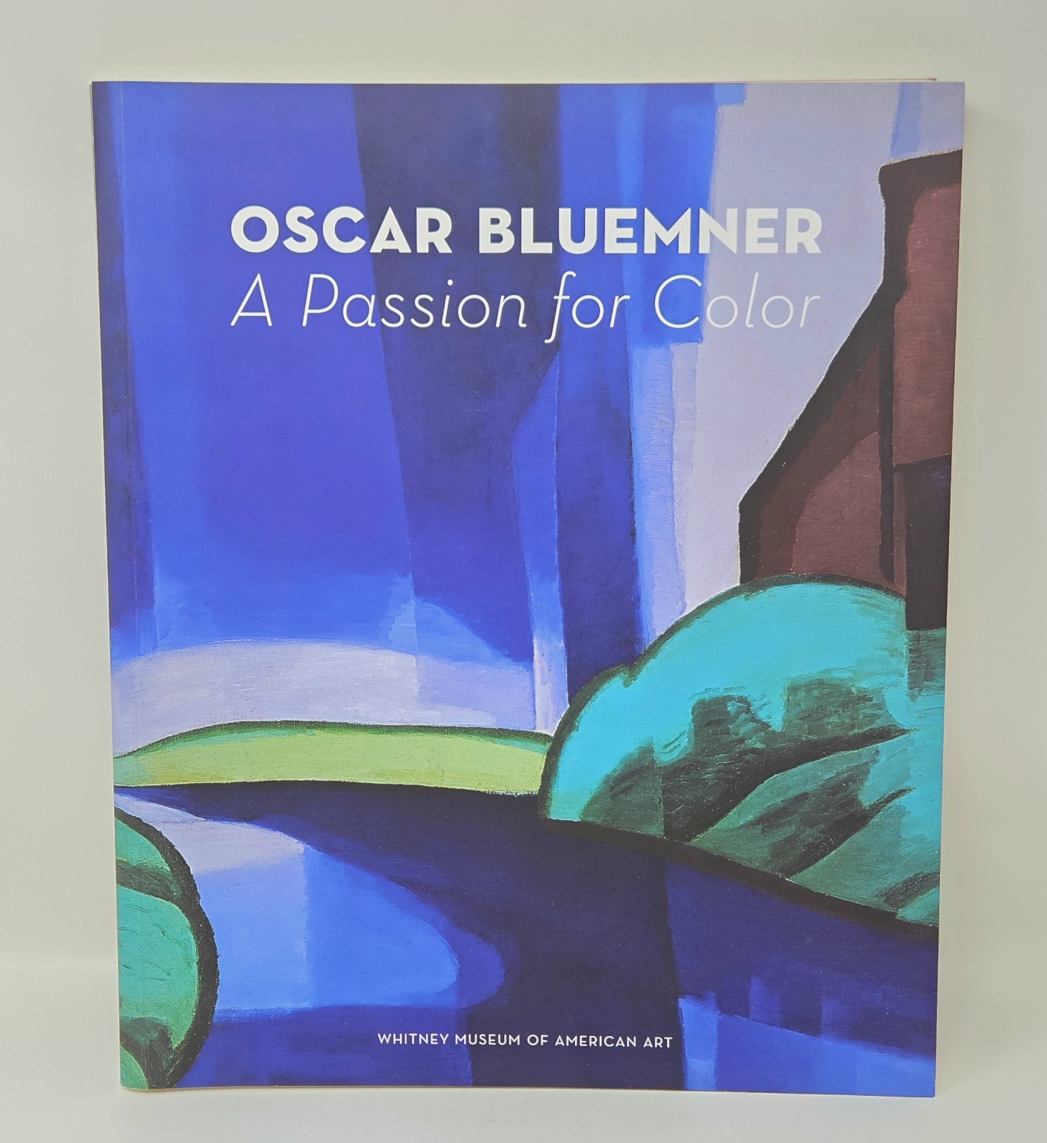 Oscar Bluemner: A Passion for Color by Barbara Haskell, Oscar Bluemner