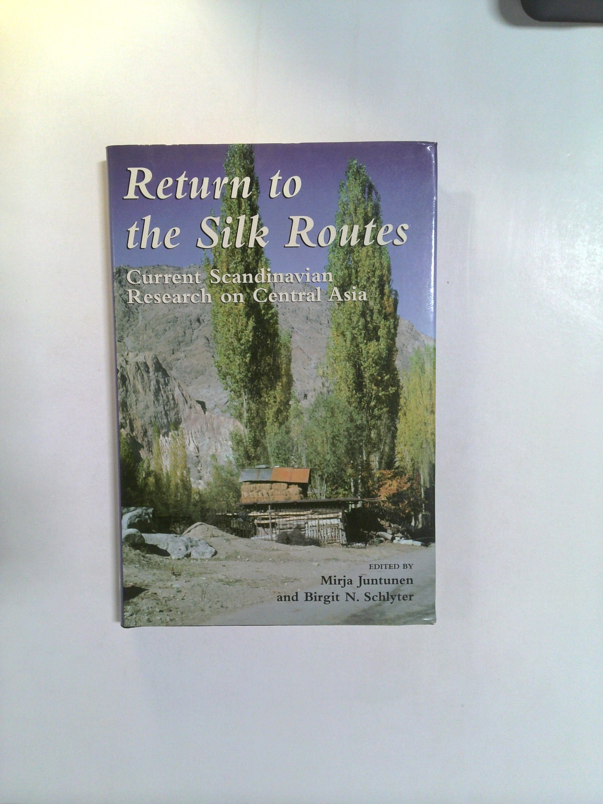 Return to the Silk Routes by Birgit N. Schlyter