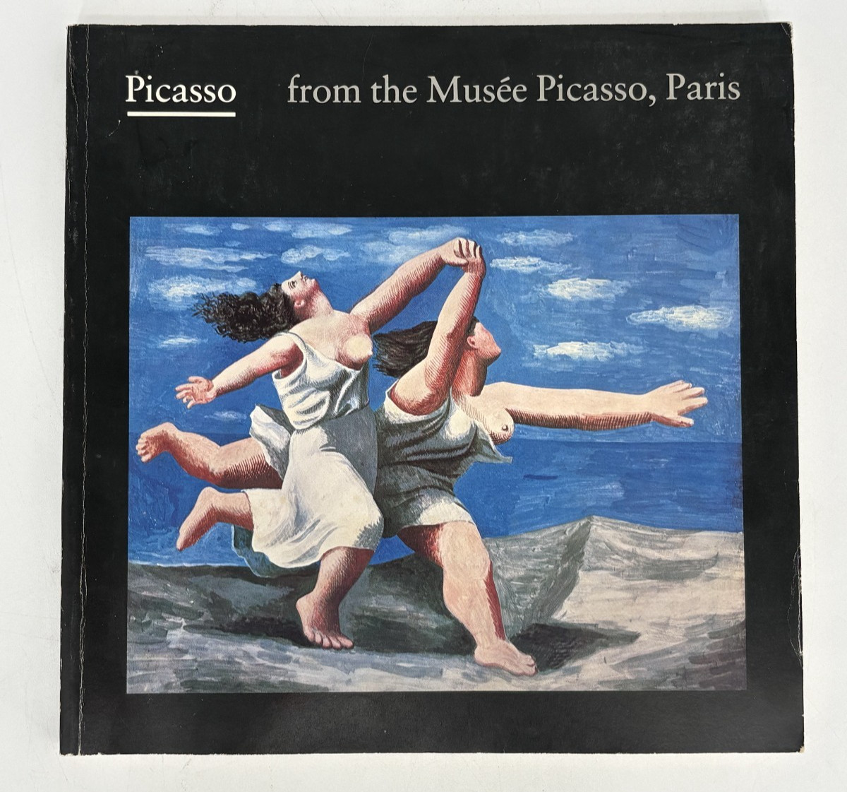 Picasso From the Musee Picasso, Paris by Walker Art Center Mpls PB by Dominique Bozo, Pablo Picasso