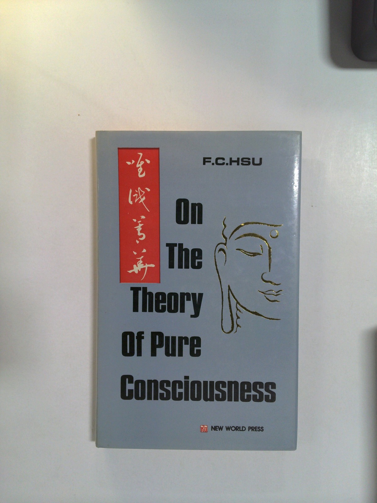 On the Theory of Pure Consciousness by Fancheng Xu