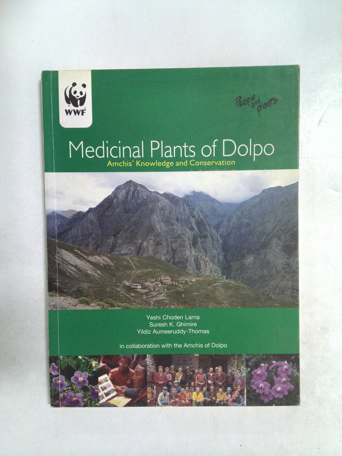 Medicinal plants of Dolpo by Yeshi Choden Lama