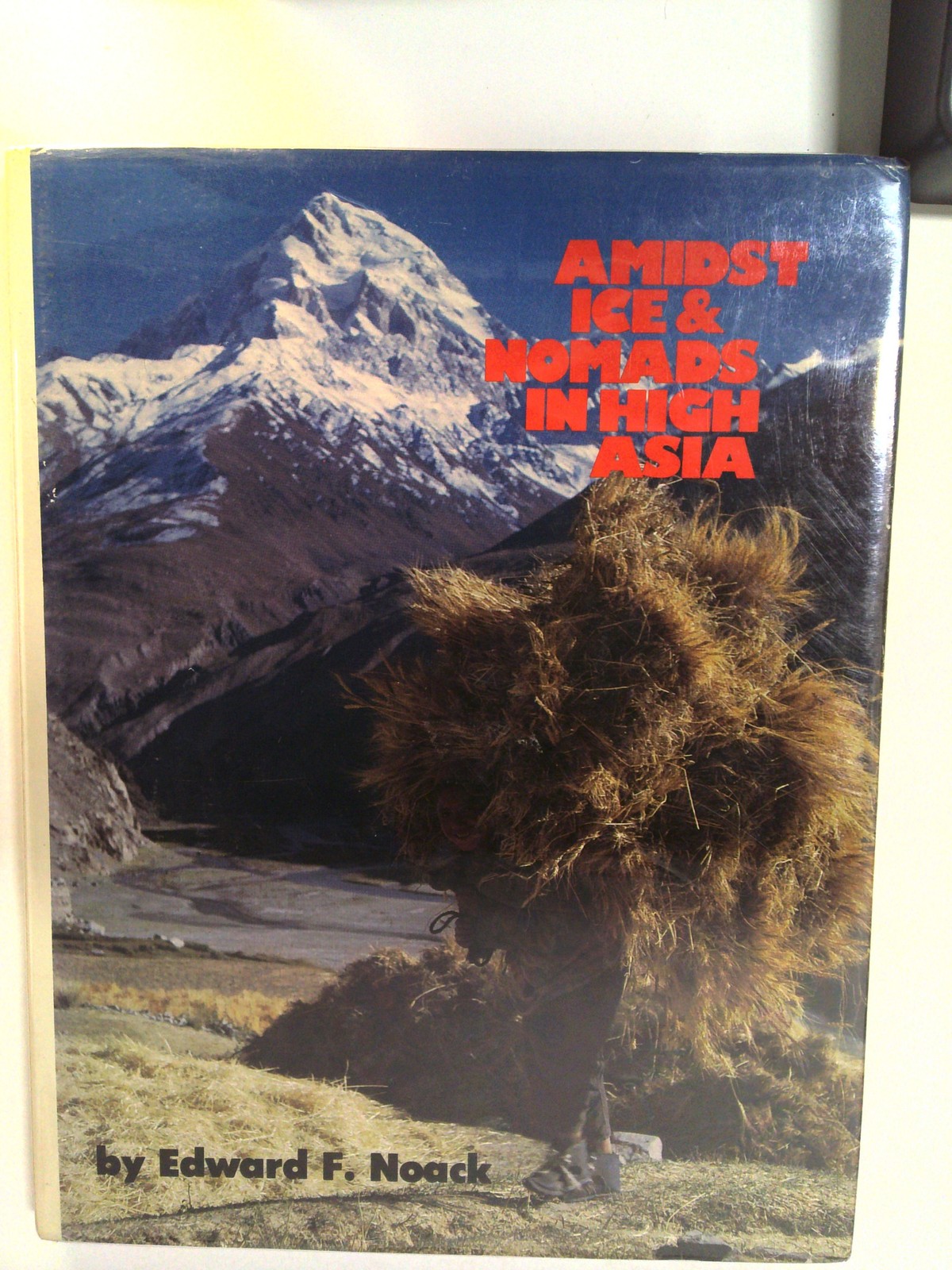 Amidst ice and nomads in high Asia by Edward F. Noack