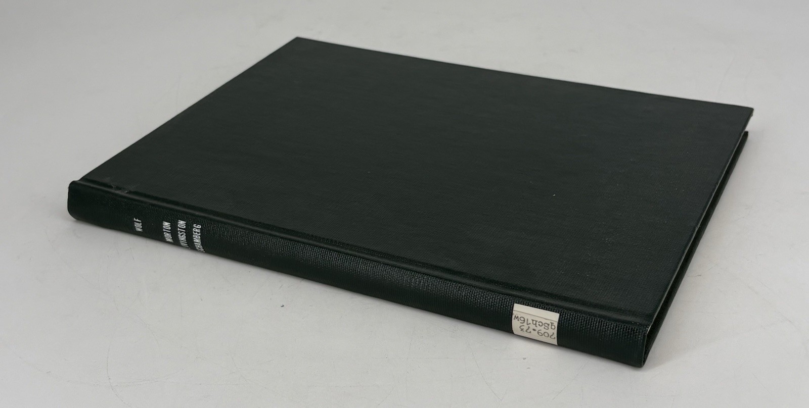 Morton Livingston Schamberg A Monograph by WOLF, Ben