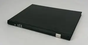 Morton Livingston Schamberg A Monograph by WOLF, Ben