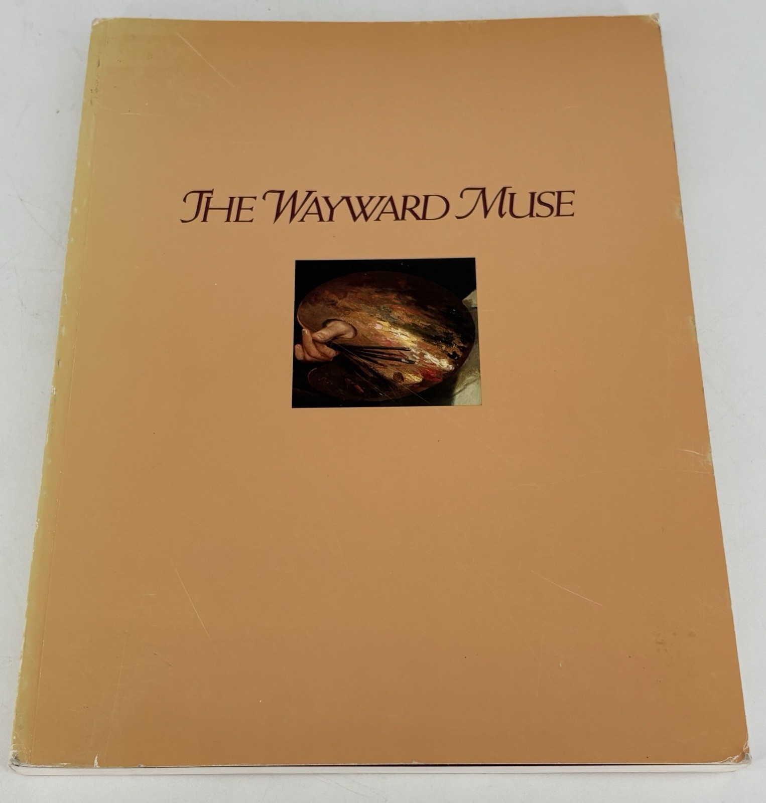 THE WAYWARD MUSE A Historical Survey of Painting in Buffalo by Susan Krane