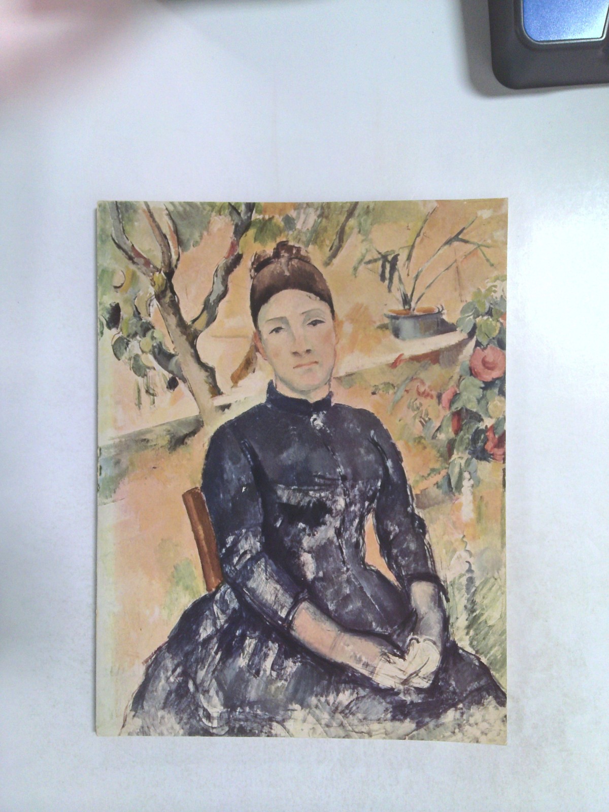 Madame Cezanne In The Conservatory by Theodore Rousseau, Jr.