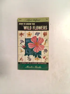 How to Know the Wild Flowers by Alfred Stefferud