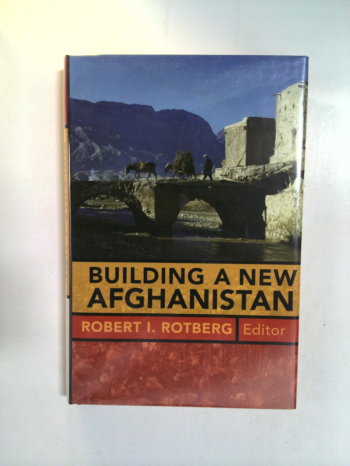 Building a New Afghanistan by Robert I. Rotberg