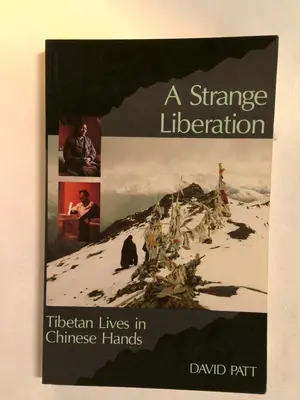 A Strange Liberation by David Patt