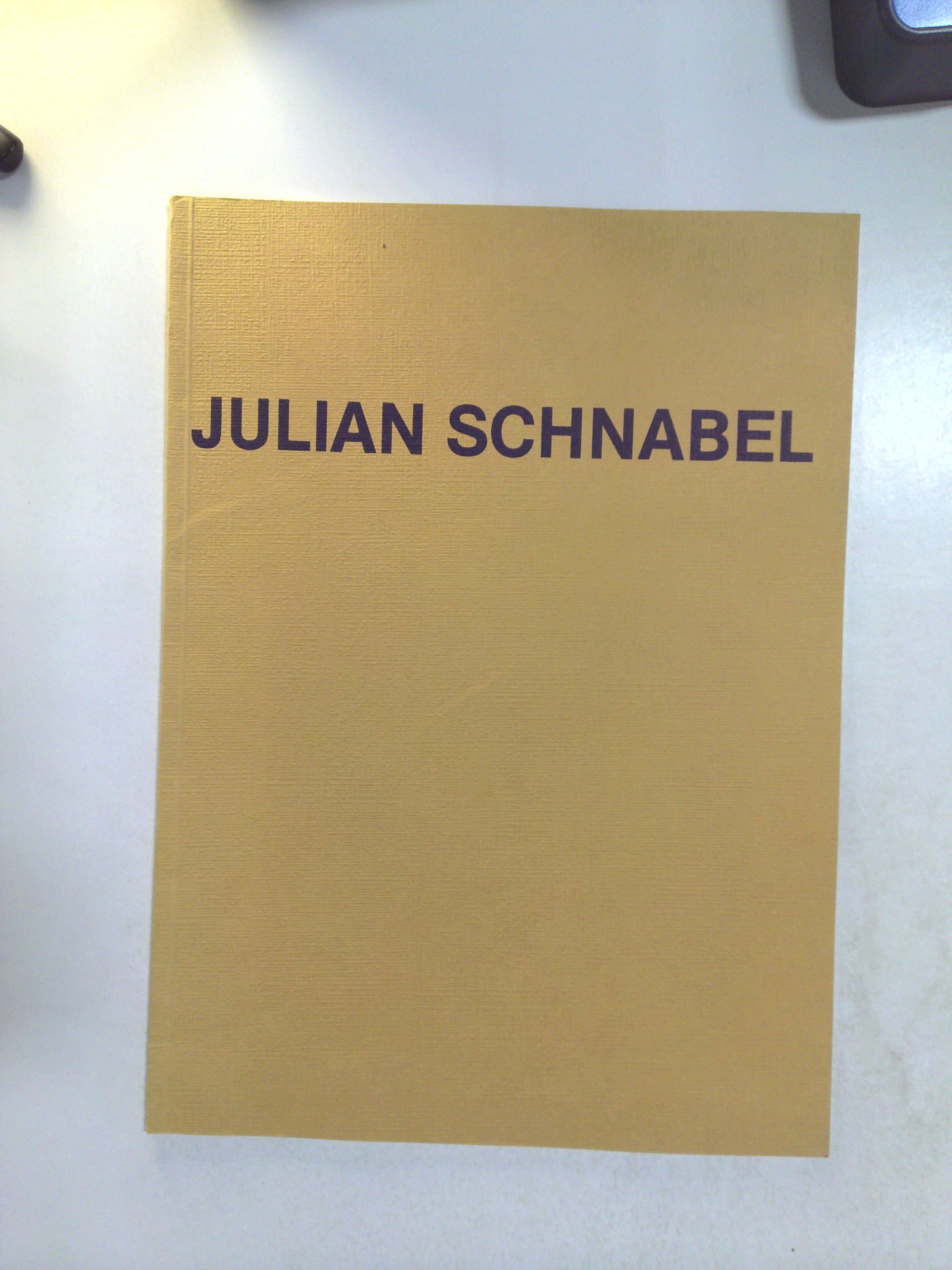 Julian Schnabel by David Robbins