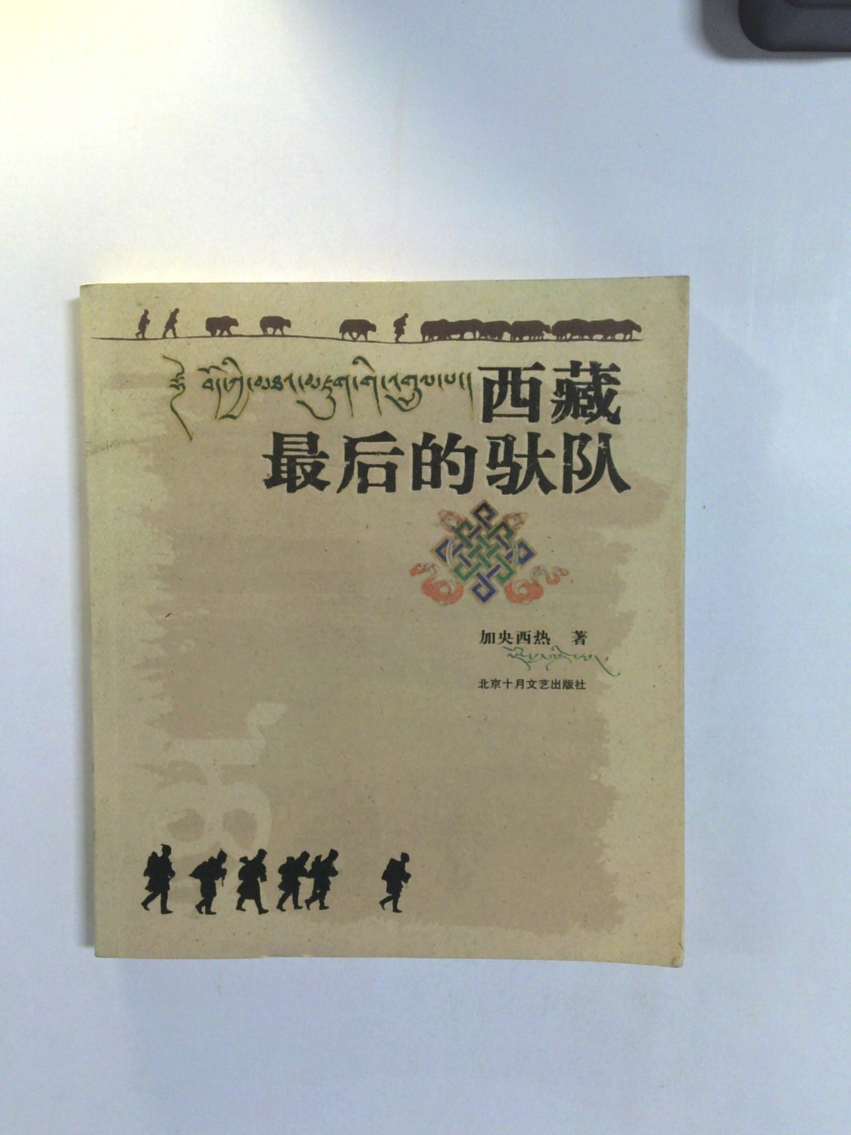 Xizang zui hou de jiao dui by Jiayangxire