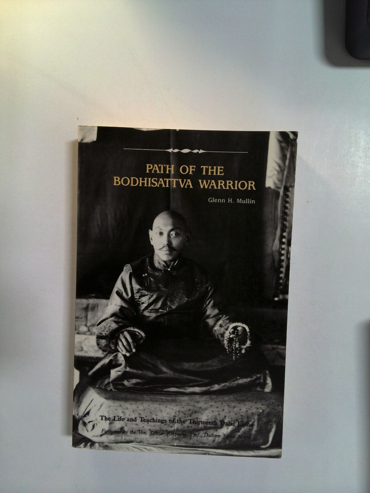 Path of the Bodhisattva warrior by 13th Dalai Lama and Glenn H. Mullin by Glenn H. Mullin