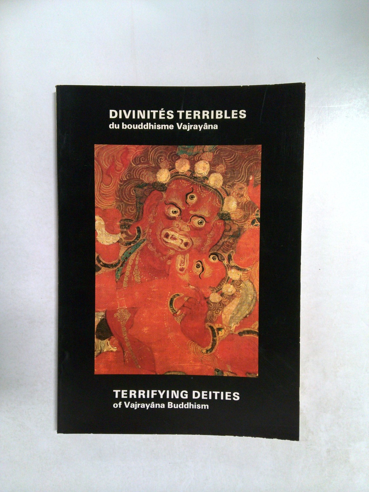 Divinités Terribles du Bouddhisme Vajrayâna: Terrifying Deities of Vajrayâna Bud… by Detlef Ingo Lauf