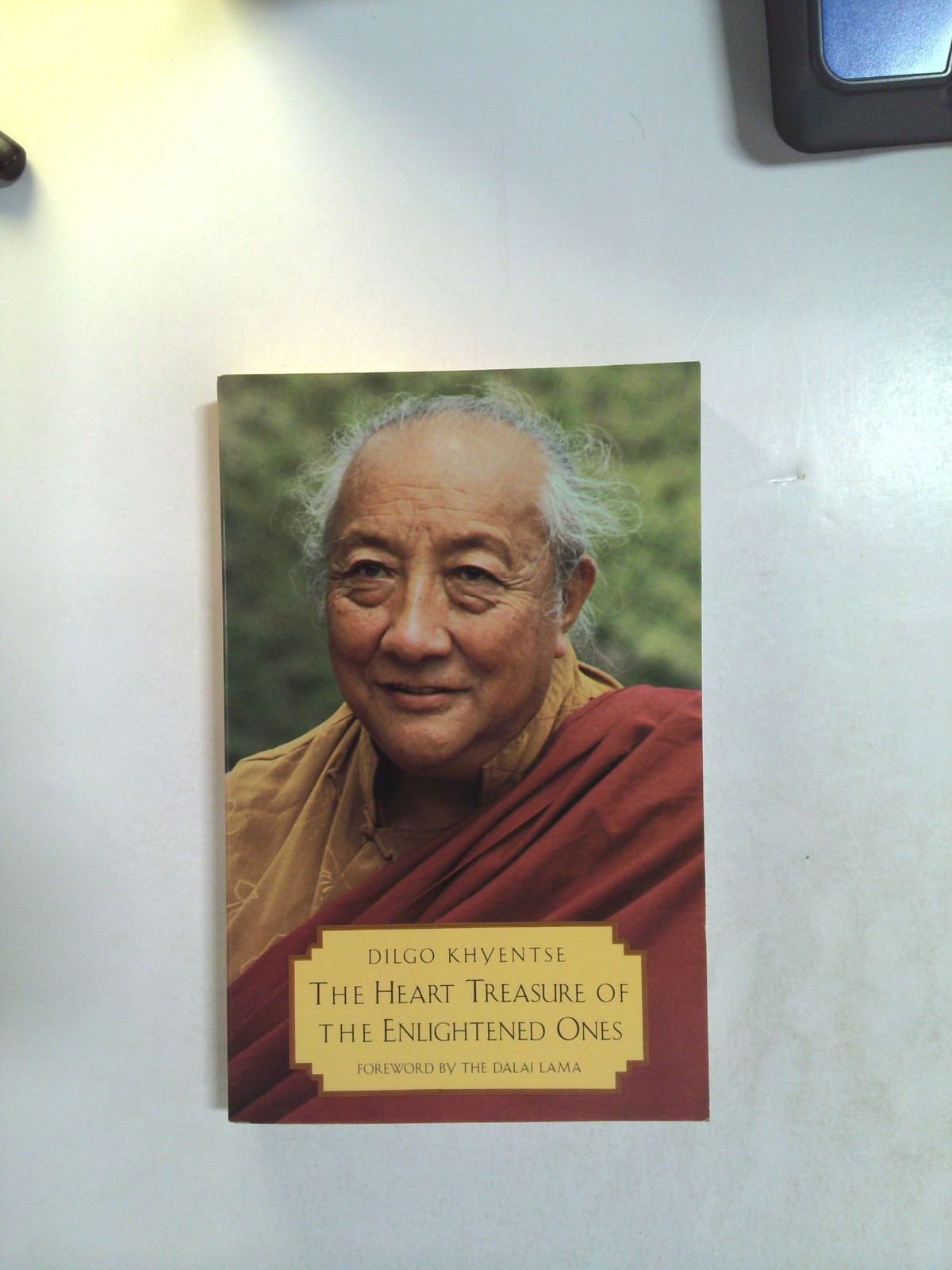 The heart treasure of the enlightened ones by Dilgo Khyentse, Patrul Rinpoche, H. H. the H.H. the Fourteenth Dalai Lama