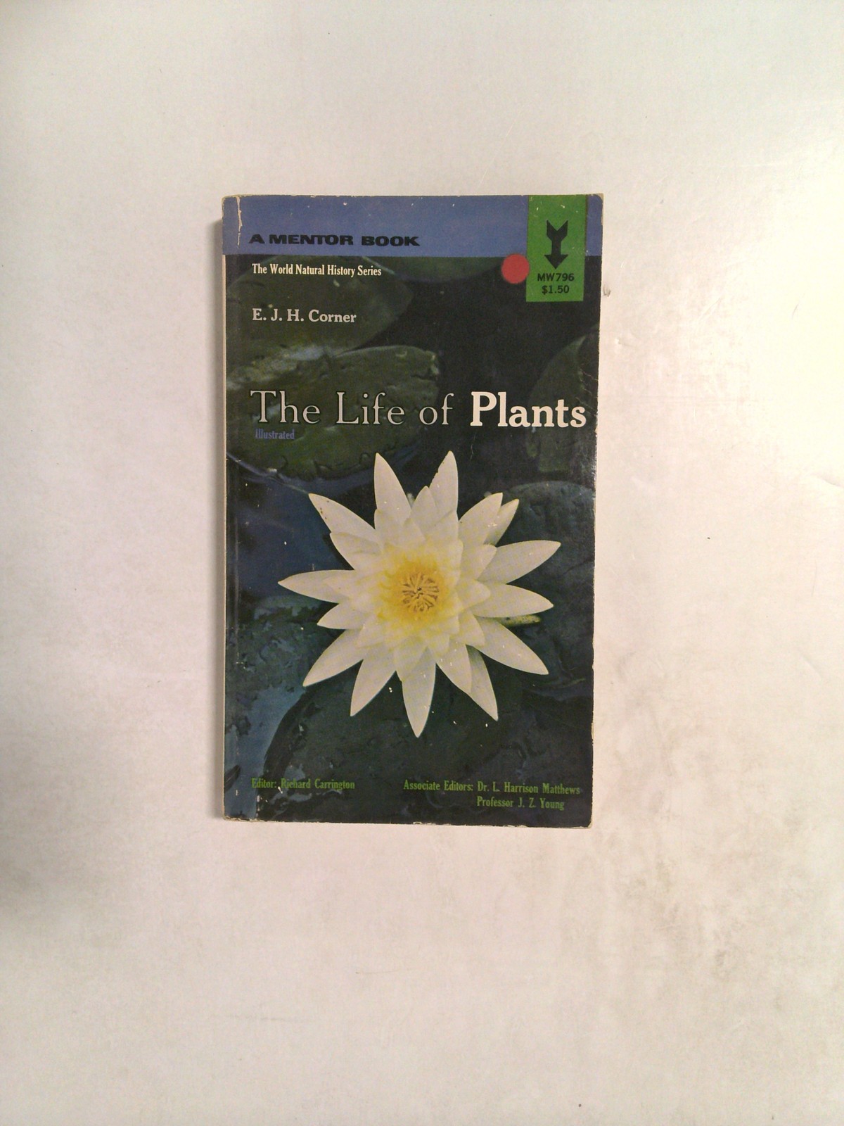 The Life of Plants by E. J. H. Corner