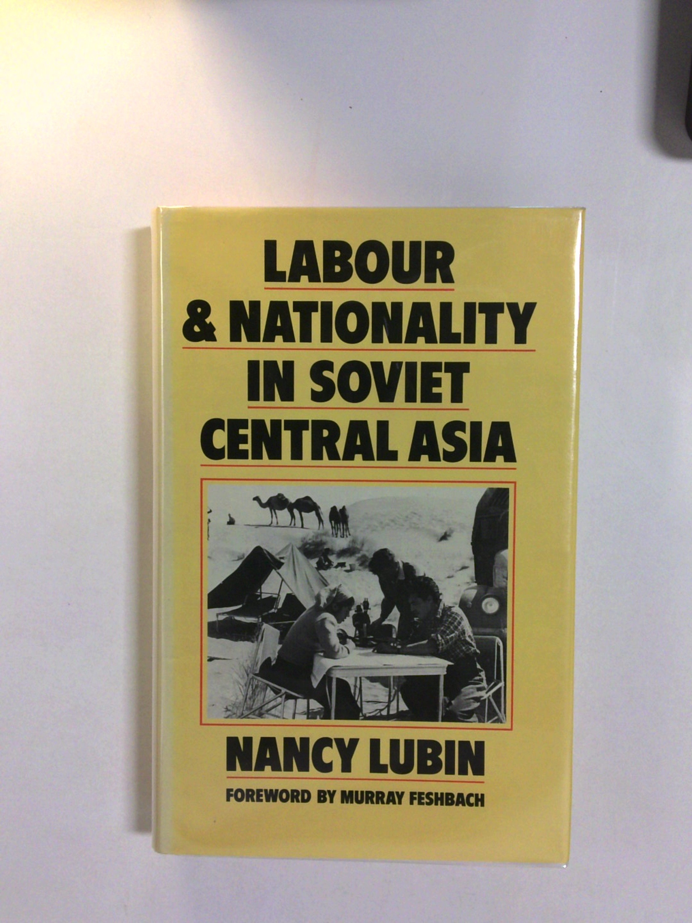 Labour and nationality in Soviet Central Asia by Nancy Lubin