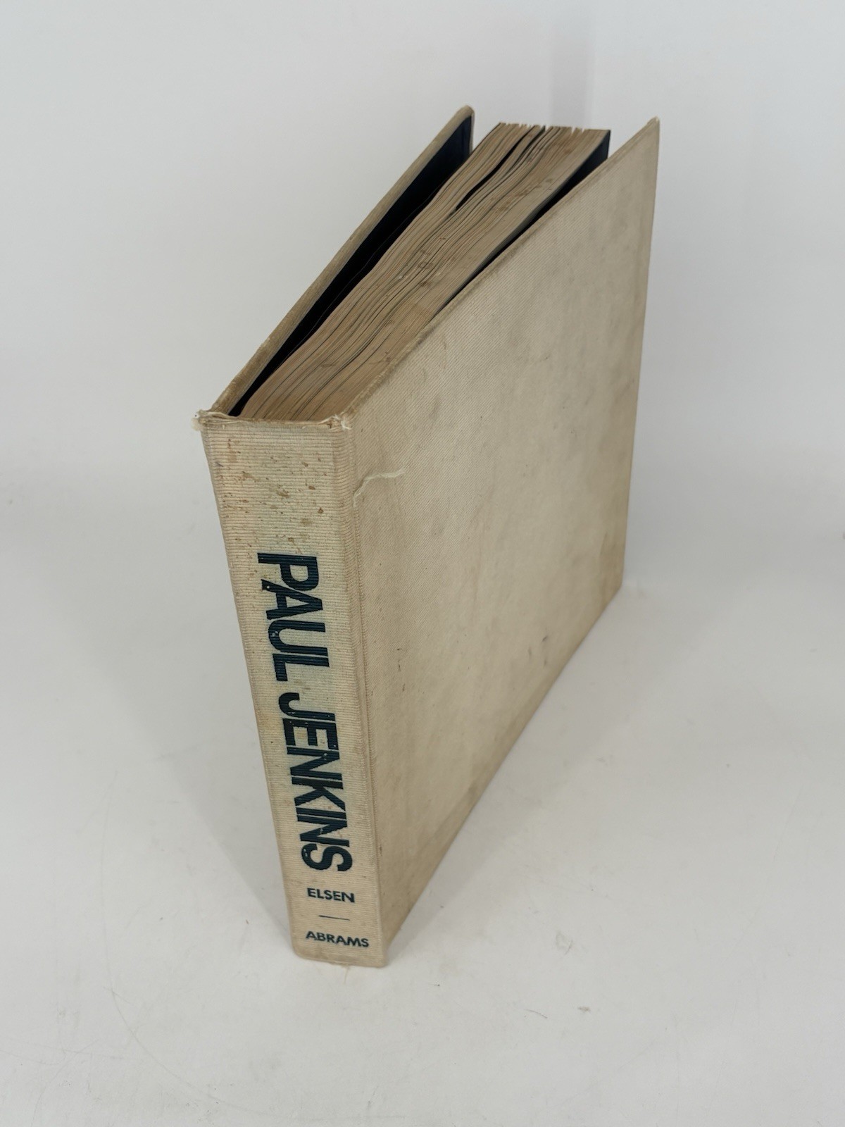 Paul Jenkins by Albert E. Elsen